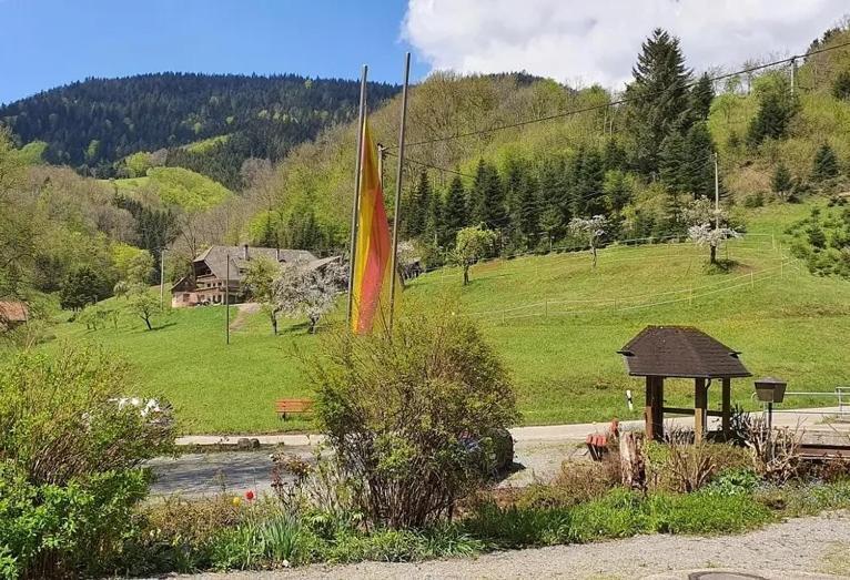 Schwarzwald Idyll Oberharmersbach Exterior foto